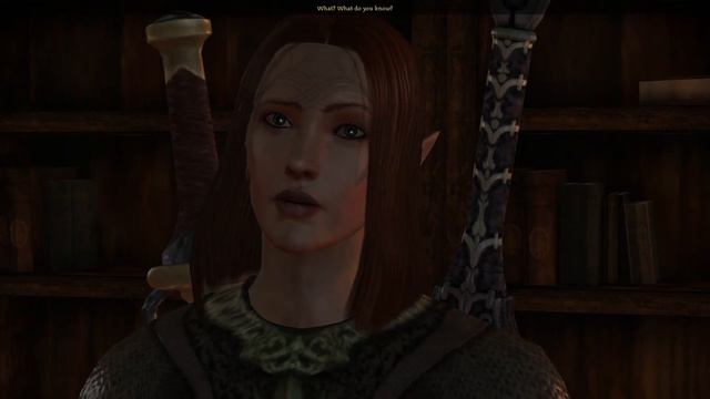 Dragon Age Origins 2023 06 09 21 19 03 смотреть онлайн
