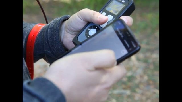 GPS Трекер для собак DTR25000 смотреть онлайн