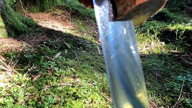 Влог. Сбор грибов 2021 / на позитиве. Где белые грибы смотреть онлайн