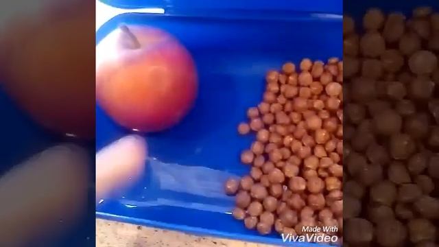 Три идеи для перекуса в школу смотреть онлайн
