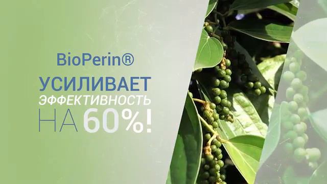 долголетие и востановление нашего организма смотреть онлайн