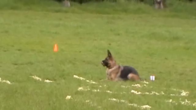 Харита комплекс 1,2,3 этапы смотреть онлайн