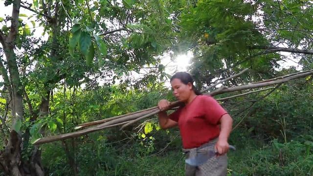 Survival In The Rainforest-Found Pleurotus Eryngii With Big Fish & Cooking -Eating Delicious HD