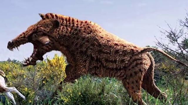 10 самых страшных хищников эры млекопитающих смотреть онлайн