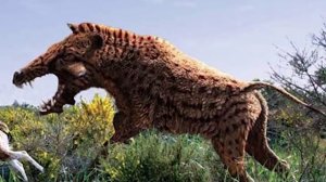 10 самых страшных хищников эры млекопитающих