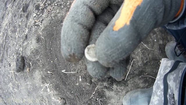 7.11.2021г. Медаль ВЕТЕРАН ТРУДА-находки на огороде с металлоискателем смотреть онлайн