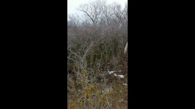 3 ДЕНЬ МИСТИЧЕСКИХ МЕСТ , ПРОКЛЯТАЯ РОЩА , ГДЕ ПОГИБАЮТ ЛЮДИ , ОН ИДЁТ ЗА НАМИ😟 смотреть онлайн