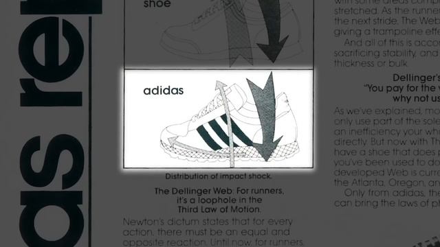 Truth about Adidas Forum смотреть онлайн