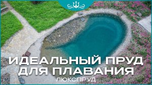 Велегож парк: бюджетный пруд для плавания и релакса