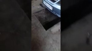 Установка линзованых противотуманных фар Дэу Нексия