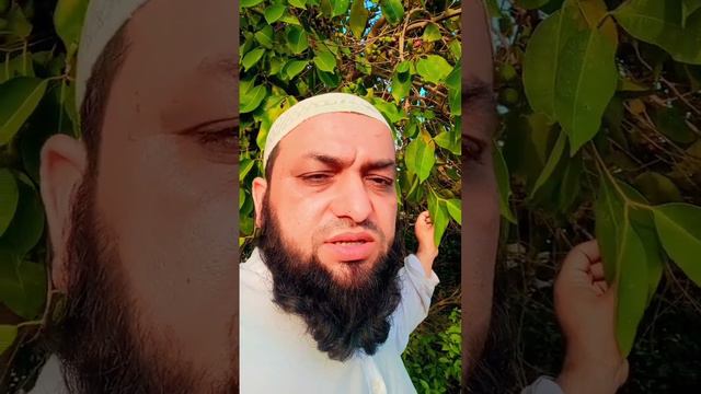 Jiryan Ihtilam Likoorya |جریان احتلام لیکوریا کامرض #fmdawakhanah#jiryan #likoriya #bimaarya смотреть онлайн