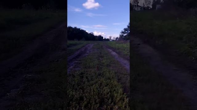 поездка на мотоблоке за рулём я. ? #мотоблок смотреть онлайн