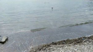 ДОМ РЫБАКА в Джубге.Отель в море. Отдых 2021.