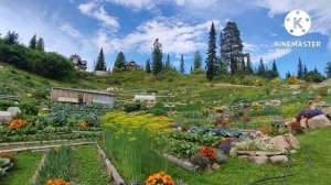 Обитель Рассвета, или как живёт община Виссариона. Часть 2