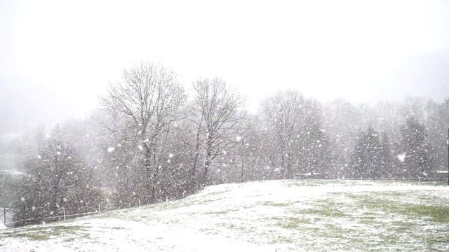 Снег из моего окна смотреть онлайн