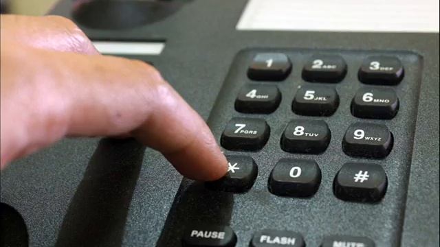 Житель Шахтинска сварил из чужой собаки суп