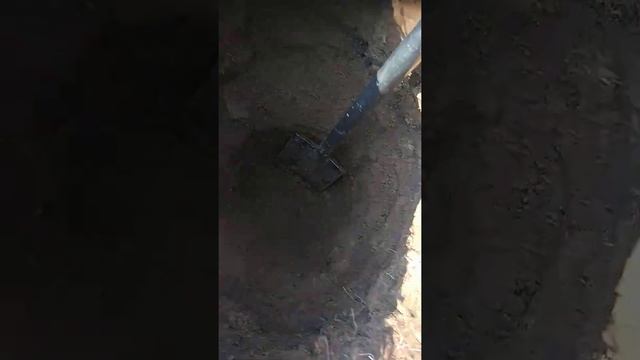 Ака Беркут 5 бьёт рекорды! смотреть онлайн