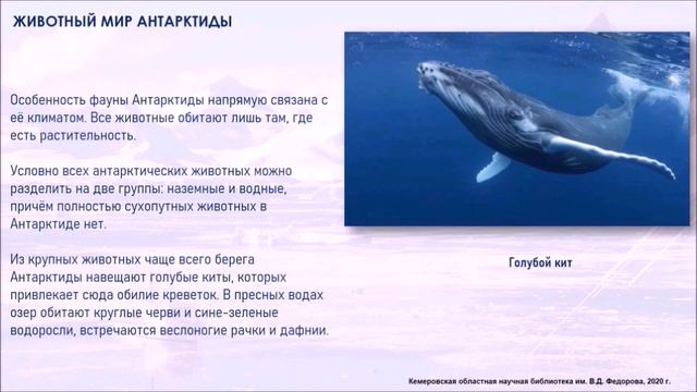 Царство снега и льда смотреть онлайн