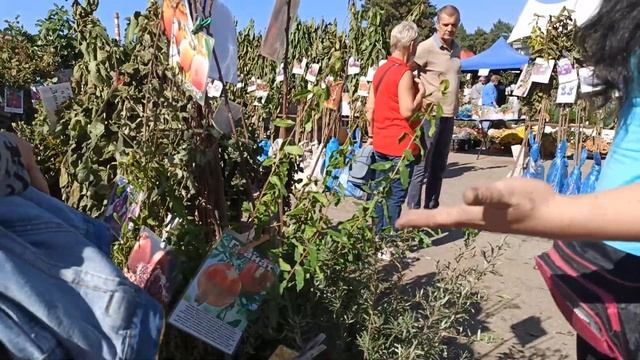 ПЕРЕЕХАЛИ НА КУБАНЬ.ПРОГУЛЯЛИСЬ В ГОРОД.ВЫСТАВКА САЖЕНЦЕВ В КРАСНОДАРЕ. смотреть онлайн