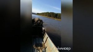 Шеркалы Природа Рыбалка часть 2