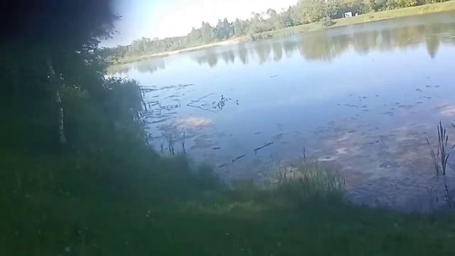 Зона отдыха поселка Северный