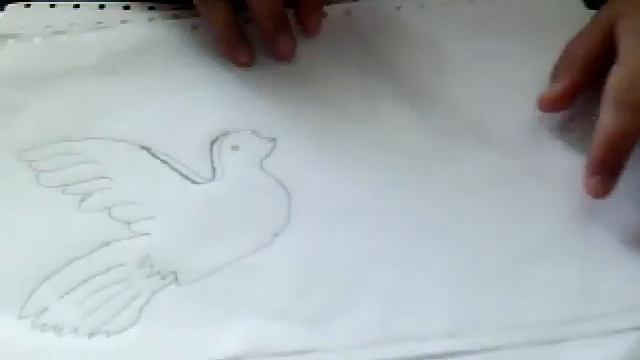 Как нарисовать красивых голубей смотреть онлайн