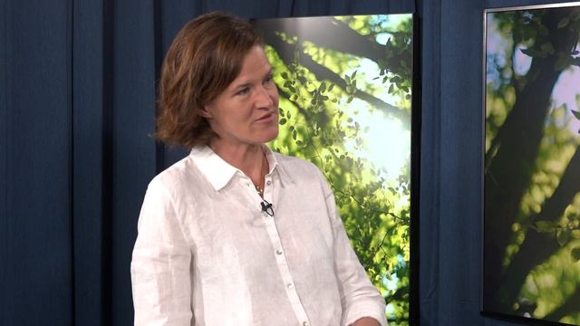 Anna Kinberg Batra om solenergibranschen смотреть онлайн