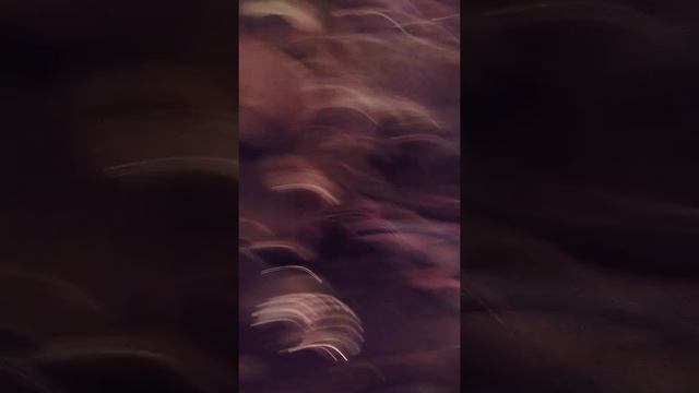 Ява(JAWA) КОФЕЙНЫЕ ТРУБЫ:) смотреть онлайн