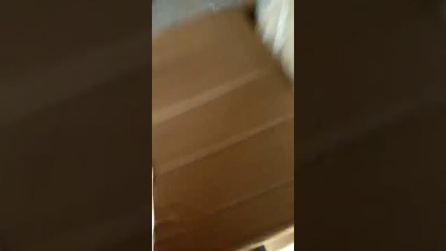 Грибной календарь