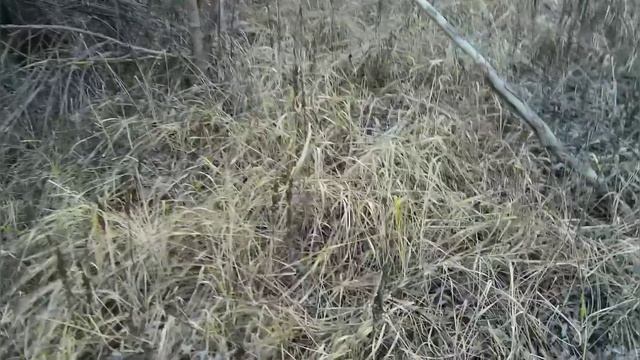 Клюёт КРУПНАЯ ГУСТЕРА,БЕЛОГЛАЗКА. Клёв слабый,но покаток спасает...РЫБАЛКА... ПРИРОДА... КРАСОТА! смотреть онлайн