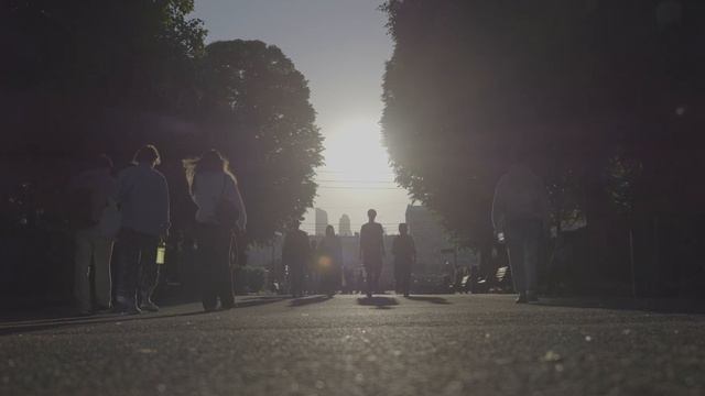 4K V-Log 4:2:2 50 кадров/с, Panasonic Lumix GH6 смотреть онлайн