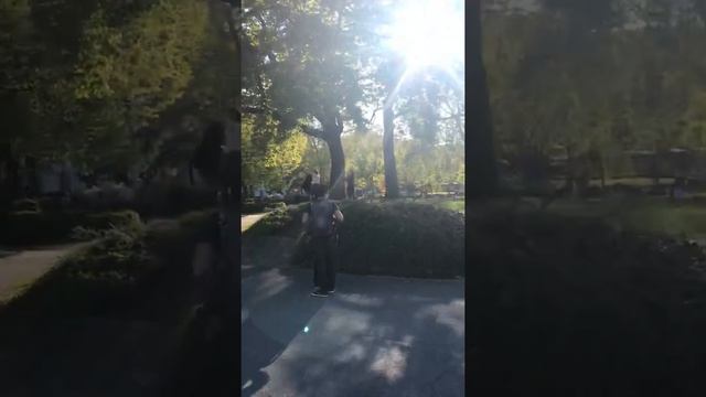 Вена. Достопримечательности. Что посмотреть?