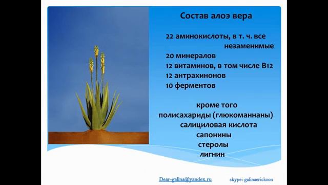 FLP  Знакомство с компанией  Форевер Ливинг продактс ( Forever Living Products)