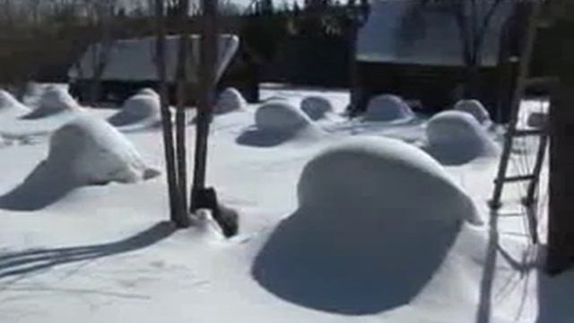 Пчелиный подмор смотреть онлайн