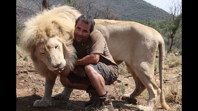 2 й уровень цигун "У Дао пай" смотреть онлайн