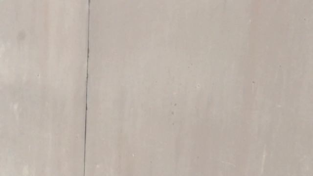 #Pigeon.Полёт тех же пискунов на следующий день. часть-1. смотреть онлайн