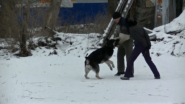 МОНО ПК 1.02.2014 КРЕДО- ПРК Альта Брава Ермак смотреть онлайн
