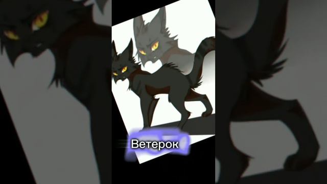 "Эдит Коты воители" как я слышу голоса персонажей Ласточка Крутобок ветерок мошка и яроликая#эдит смотреть онлайн