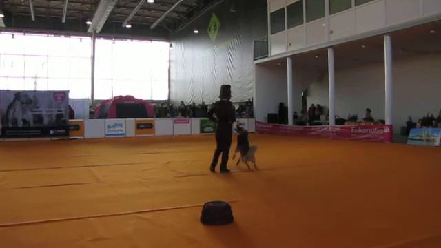 Кондратьева Любовь Юрьевна и Понька. смотреть онлайн