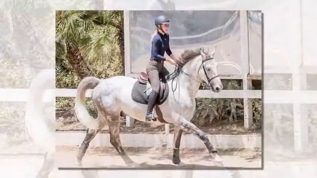 Get back on the horse! Iggy Azalea goes for a ride on her new stallions Defender and Strictly смотреть онлайн
