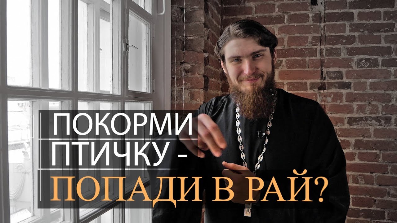 Покорми птичку - попади в рай? смотреть онлайн