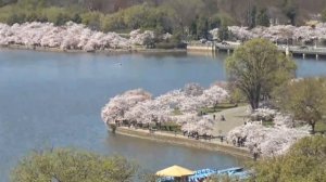 Ходят ли на кладбище на Пасху поминать ?-  Отвечает протоиерей Андрей Ефанов