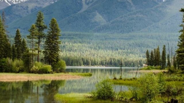 КРАСИВАЯ РАССЛАБЛЯЮЩАЯ МУЗЫКА (ПИАНИНО), МУЗЫКА ДЛЯ СНА, СПОКОЙНАЯ МУЗЫКА, РОМАНТИЧЕСКАЯ МУЗЫКА