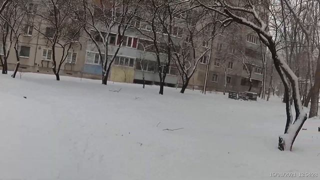Луганск, Нашёл Самый Длиный Дом в Области! "Курская Дуга", Городок ОР, 15 января 2021 смотреть онлайн