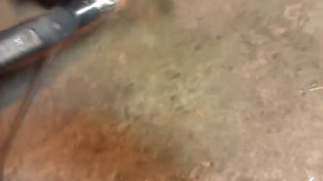 маслоотсос комичный)
