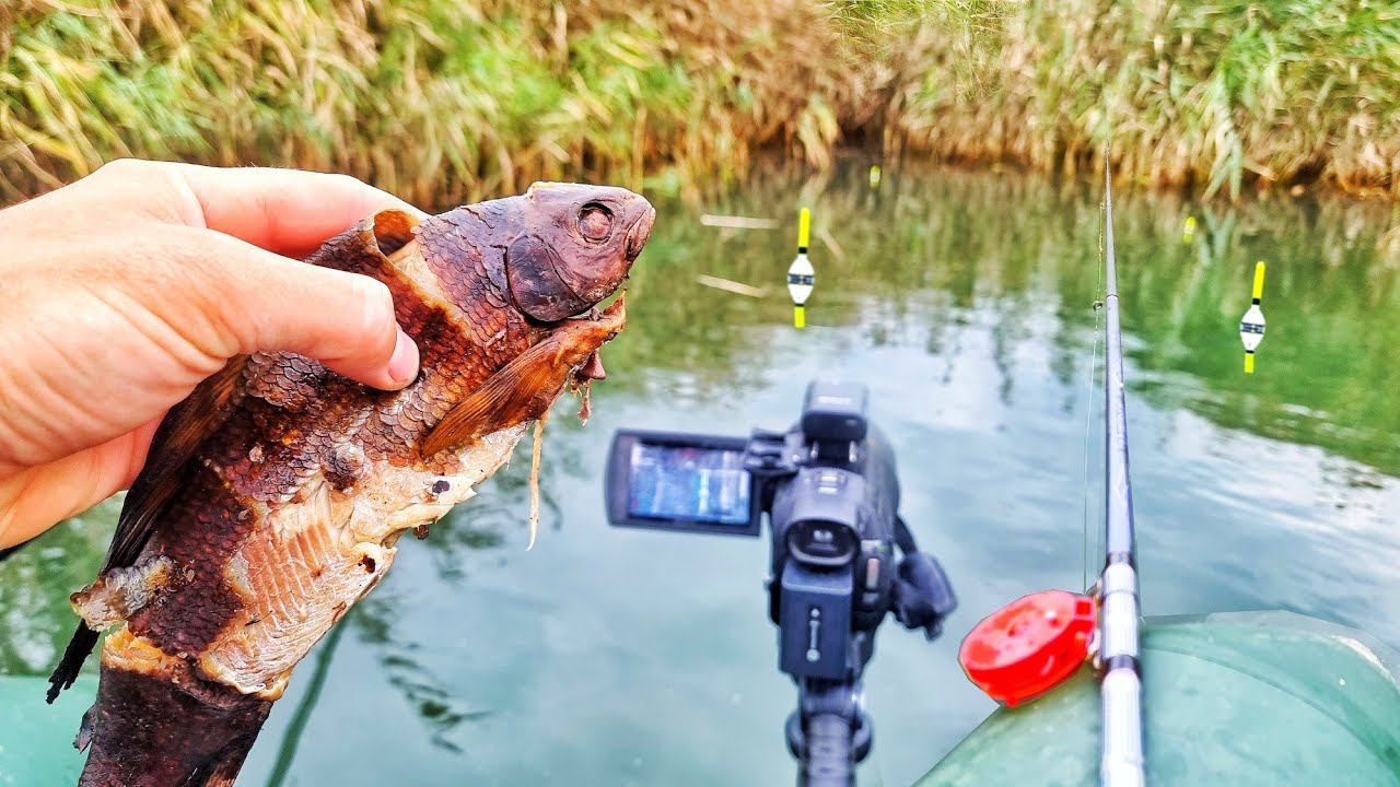 НЕ РЫБАЧЬ ТАК! УТАЩИЛИ УДОЧКИ, ПОГНУЛИ КРЮЧКИ! ВЗЯЛ РЫБУ НА РЫБАЛКУ! смотреть онлайн