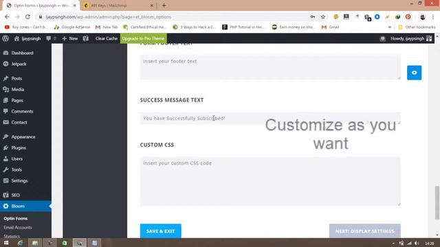 How to Create WordPress Popup subscription form ( free ) смотреть онлайн