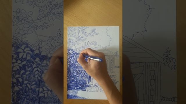 Free sketch 0040 смотреть онлайн