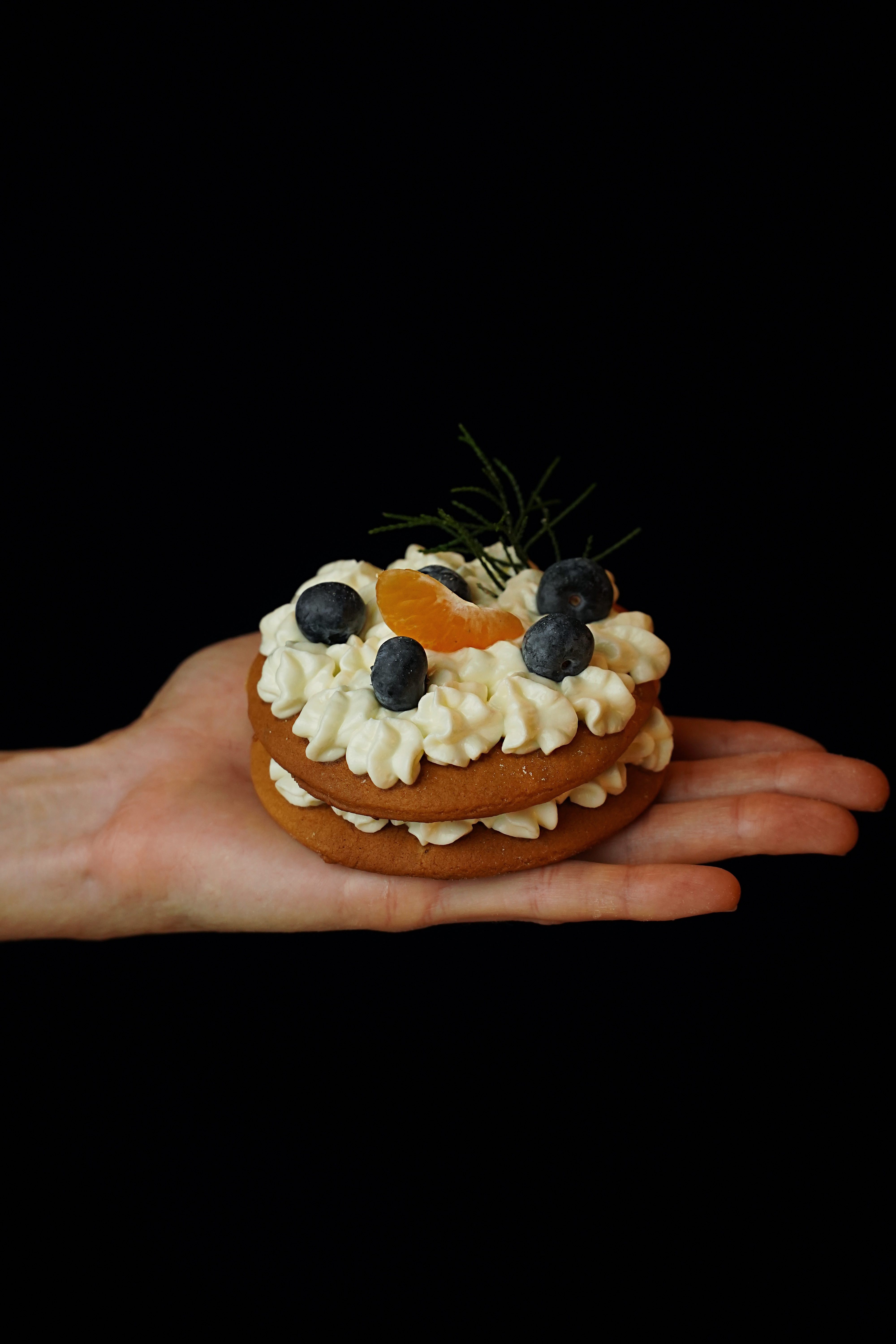 Новогоднее пирожное ?