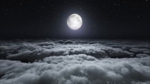 СЛУШАЙТЕ КОРАН ПЕРЕД СНОМ | Прекрасное чтение Корана